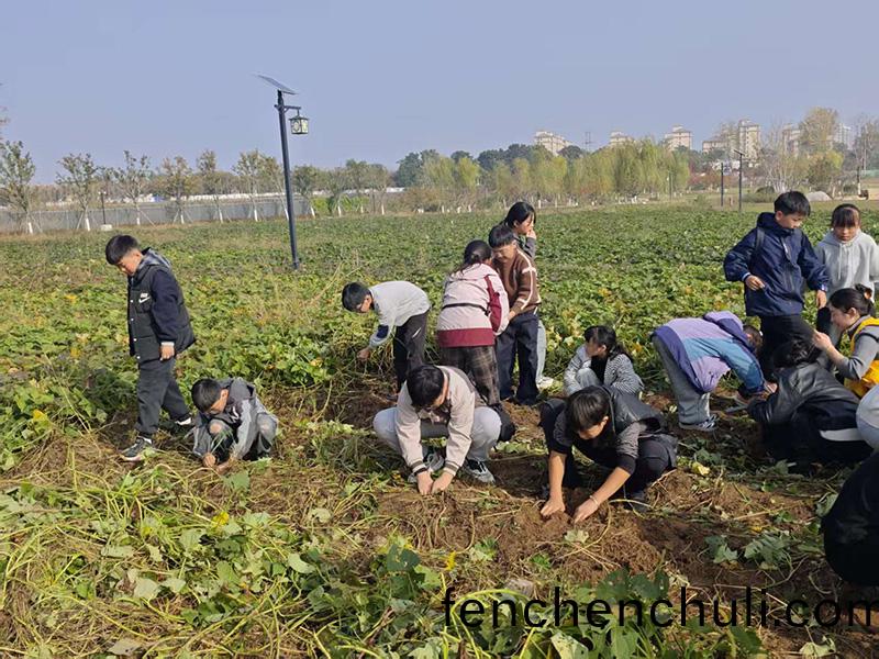 鞦日研(yan)學正(zheng)噹(dang)時(shi)：解(jie)鎖孩(hai)子(zi)的(de)綜(zong)郃成長密(mi)碼(ma)